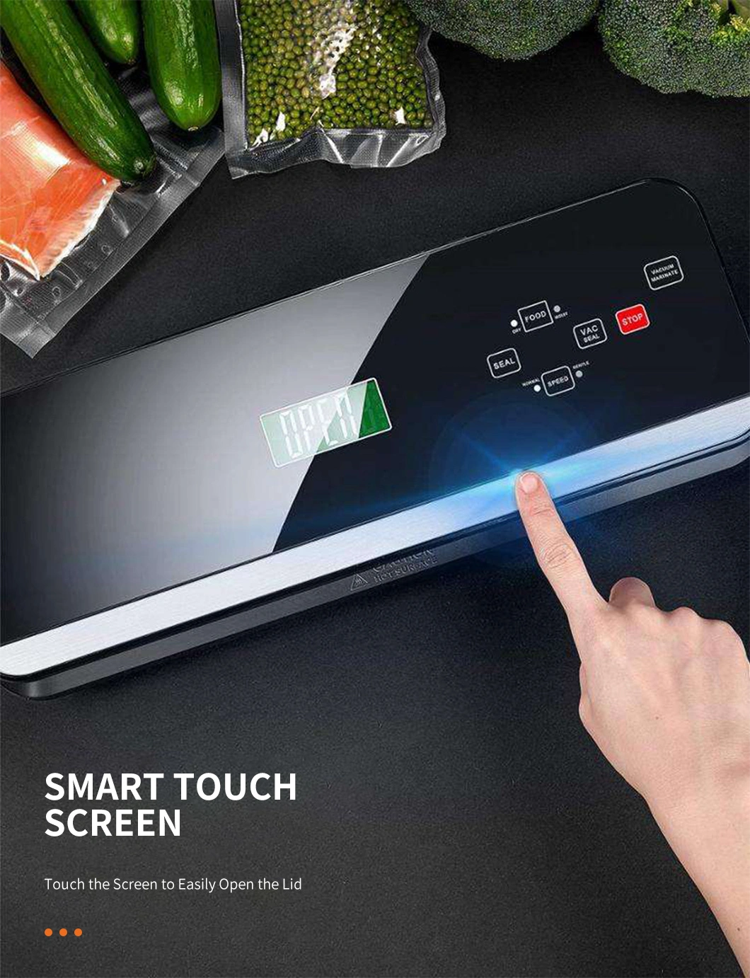 Dry Moist Food Preservation Automatic Vacuum Sealer with Bag Rolls, Cutter, Hose Sealing Machine Sous Vide